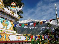 India Epifania 2027: viaggio e ritiro yoga Satyananda 1 6989c29b04ccb Olisticmap 1770635931