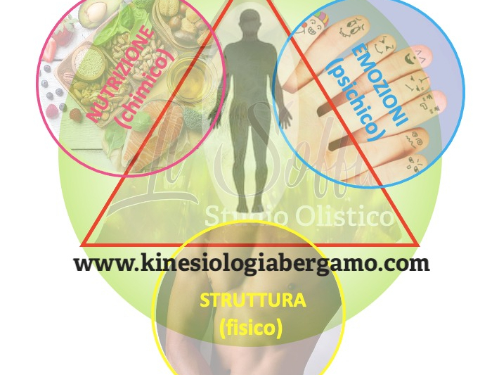 6a0b8daeeda65 Olisticmap 1779142062