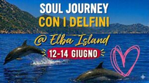 SOUL JOURNEY DELFINI