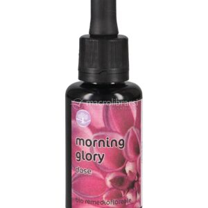 Morning Glory - Fiori californiani - Dose