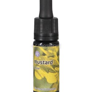 Mustard - Dose