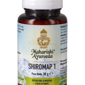 Shiromap 1