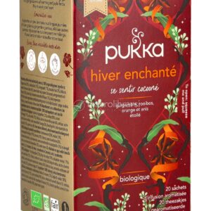 Winter Warmer - Tisana Pukka Bio