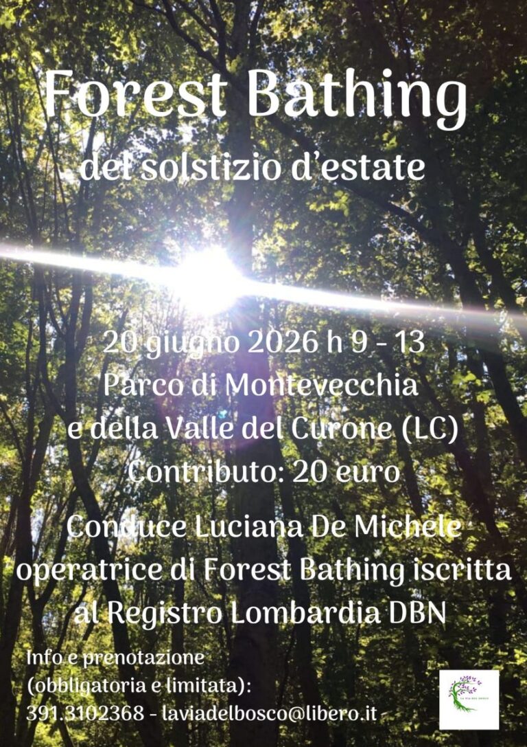 Forest bathing del solstizio d'estate 1 Locandina Forest solstizio estate 26