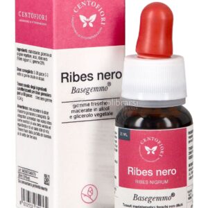 Ribes Nero - Basegemmo