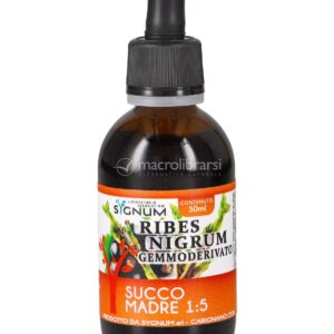 Ribes Nigrum - Gemmoderivato