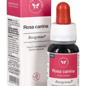 Rosa Canina - Basegemmo