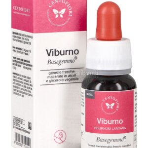 Viburno - Basegemmo
