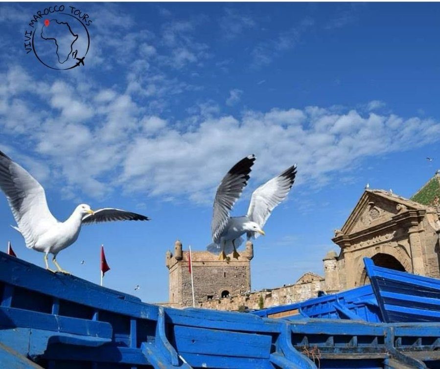 Il Sentiero del Blu: tra oceano e montagne 1 casablanca