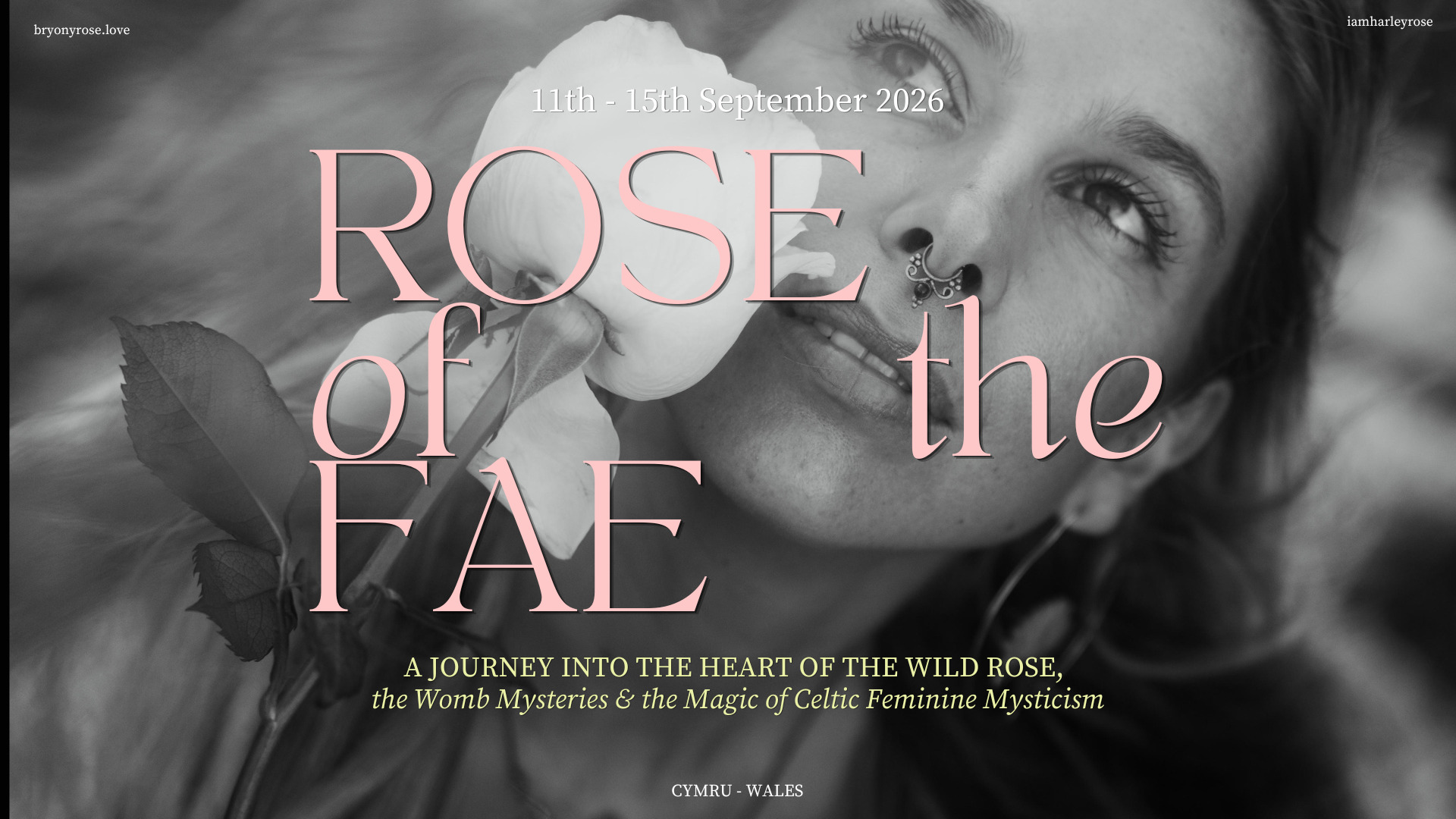 Rose of the Fae: ritiro per donne in Galles 1 3425f40e b57c 405a a5bd 408f847476dd