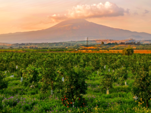Seminario di respirazione olotropica a Catania 3 6a75ac8c9920e Olisticmap 1786096780