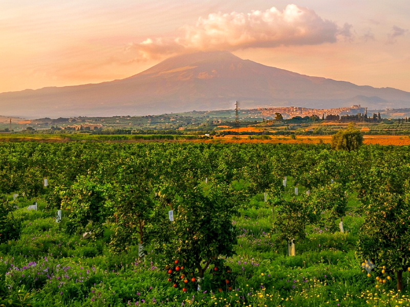 Seminario di respirazione olotropica a Catania 1 6a75ac8c9920e Olisticmap 1786096780