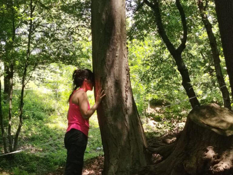 Forest bathing dell’equinozio d’autunno 10 6a7af5da33c9c Olisticmap 1786443226