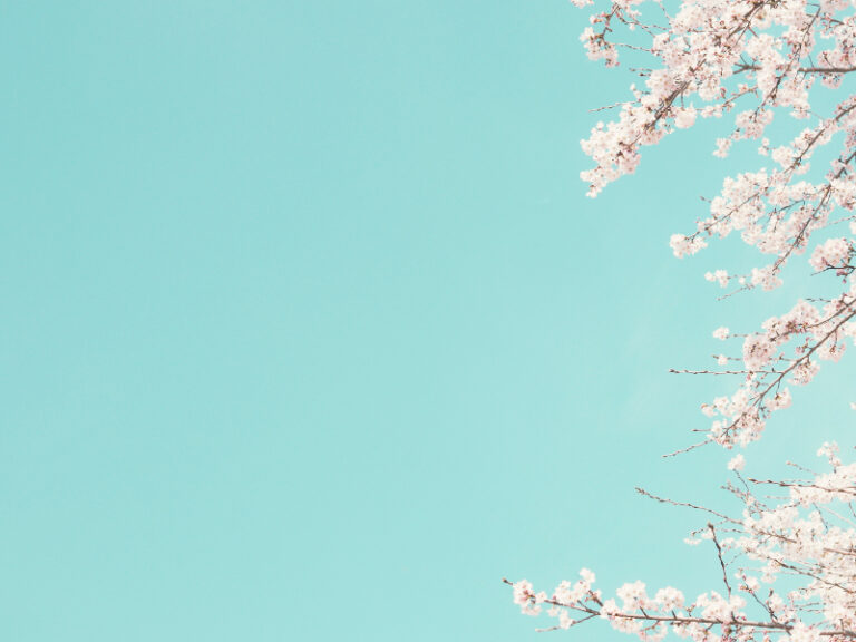 MBCP: Mindfulness-Based Childbirth and Parenting 4 6a858b859f3fc Olisticmap 1787136901