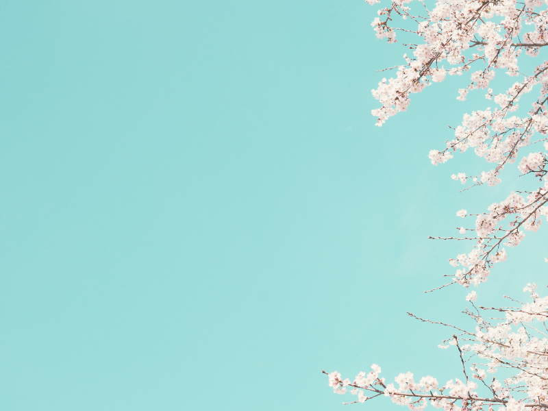 MBCP: Mindfulness-Based Childbirth and Parenting 1 6a858b859f3fc Olisticmap 1787136901