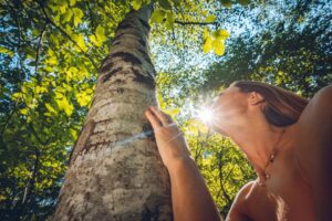 Mindfulness in natura 2 mindfulness in natura vivi il momento 5