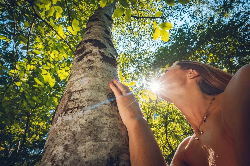 Mindfulness in natura 1 mindfulness in natura vivi il momento 5
