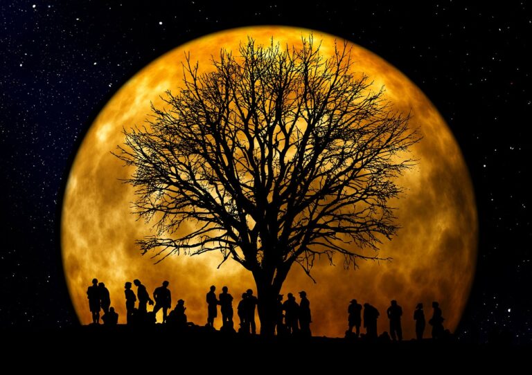 Al mio posto, nella mia vita 8 6a9ed42f6866c tree 66465 1280