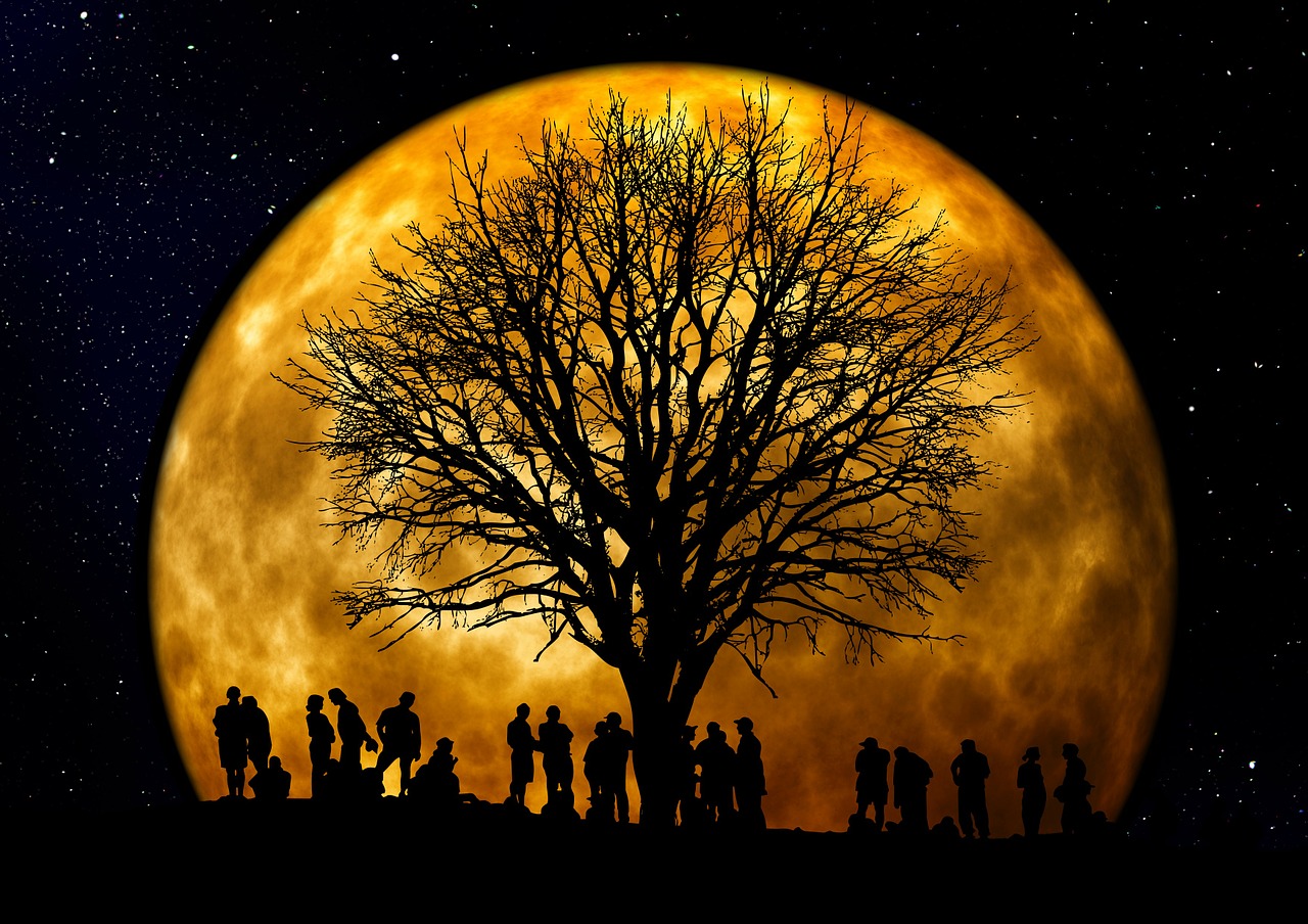 6a9ed42f6866c tree 66465 1280