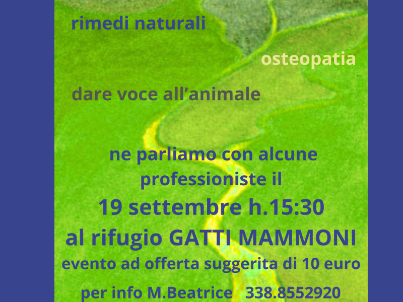 6a9ee3931c2b6 Olisticmap 1788797843