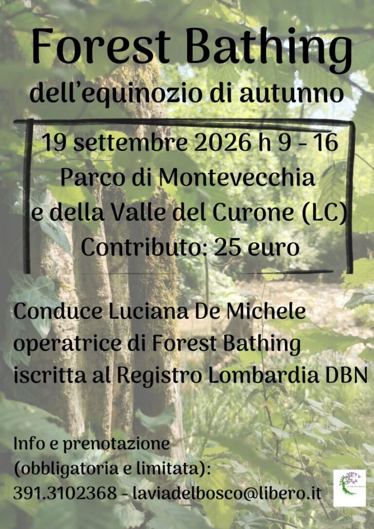 Forest bathing dell’equinozio d’autunno 11 Forest Bathing equinozio 26