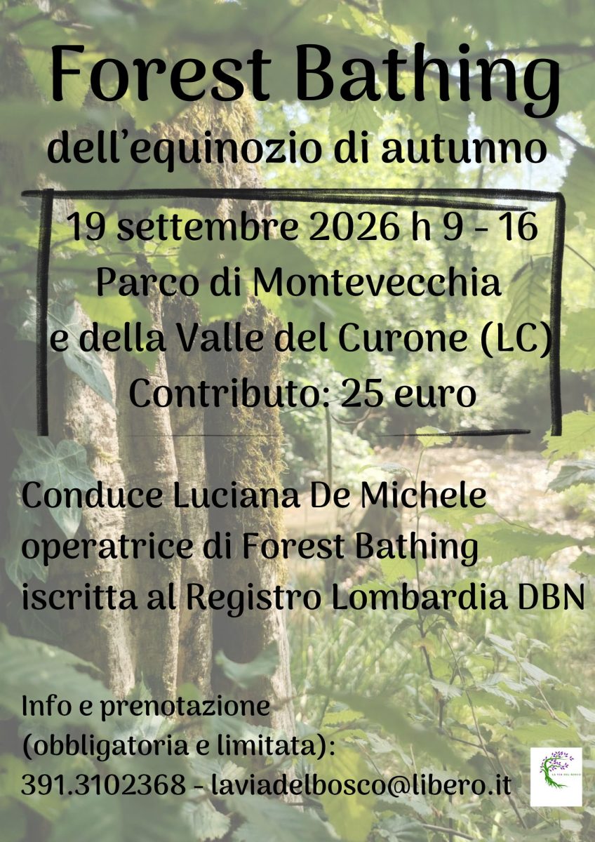 Forest bathing dell’equinozio d’autunno 1 Forest Bathing equinozio 26