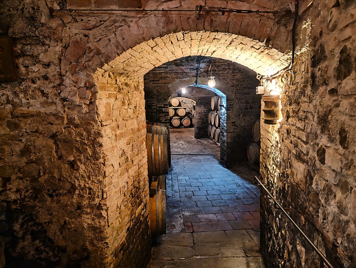 Equinozio d’Autunno in cantina in fattoria 1 cantina corridoio