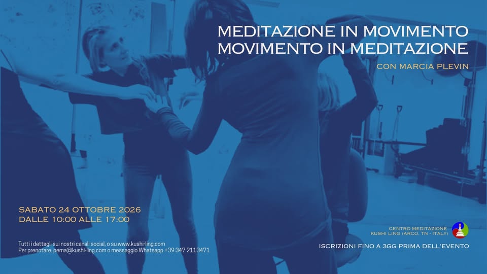 Meditazione in movimento con Marcia Plevin 1 meditazione in movimento movimento in meditazione con marcia plevin
