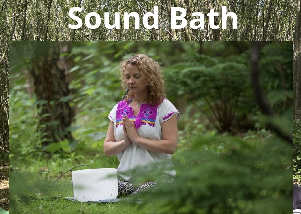 Forest Bathe & Sound Bath 1 04962246 1e66 44f6 9f11 de4e1f7c199e