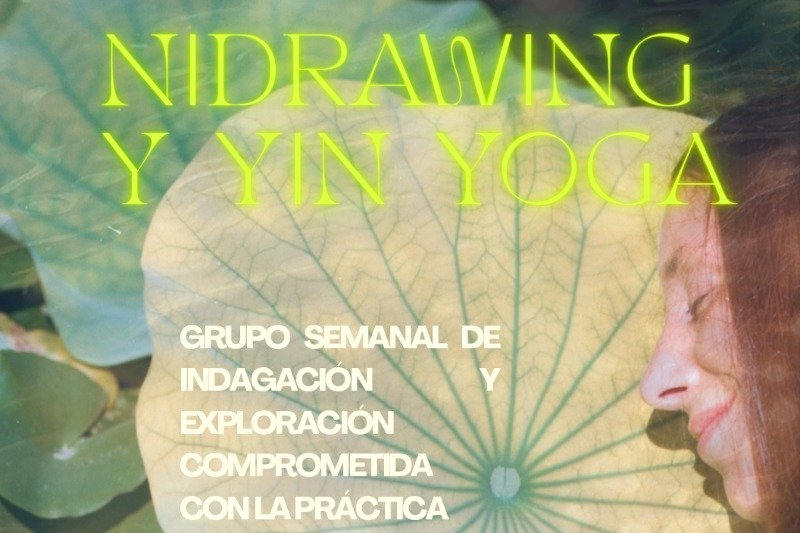 d5d1e4dc e4fb 48b9 877d 5a55601316ff