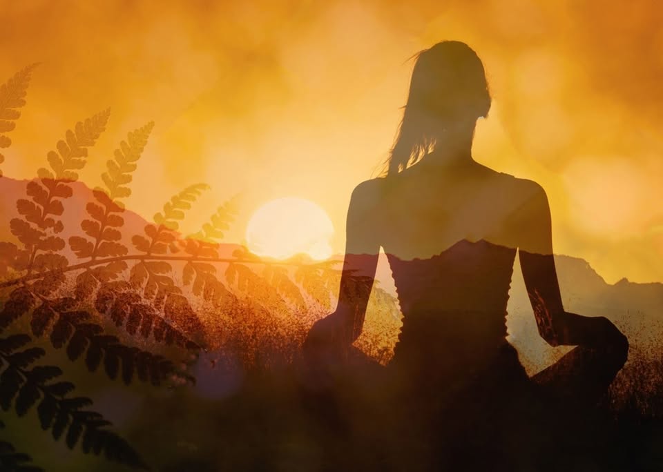 Mindfulness e connessione energetica 1 mindfulness e connessione energetica