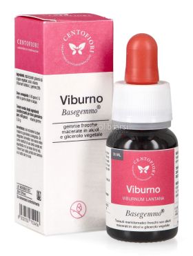 viburno basegemmo 734361