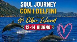 Eventi vicino a te 84 SOUL JOURNEY DELFINI