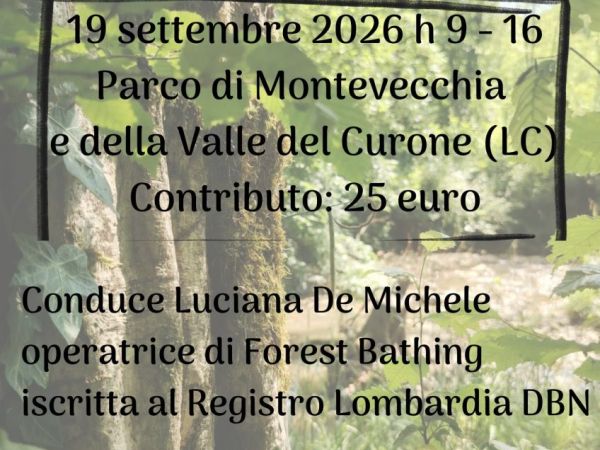 Forest bathing dell’equinozio d’autunno
