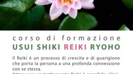 Home 291 Corso di formazione Reiki a Napoli