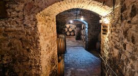 Eventi 171 Equinozio d’Autunno in cantina in fattoria