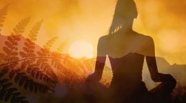 Home 364 Mindfulness e connessione energetica