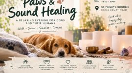 Home 313 Paws & Sound: esperienza di sound healing per cani