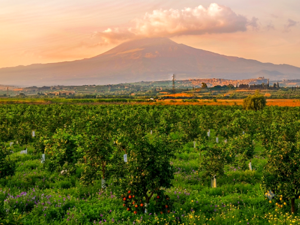 Seminario di respirazione olotropica a Catania