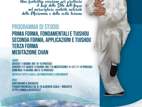 Seminario di Taiji Quan e Qi Gong con il Maestro Wang ZhiXiang