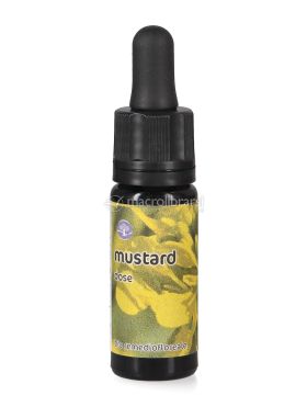 mustard dose 734123
