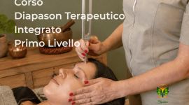 Eventi vicino a te 264 6a4b864d85529 Olisticmap 1783334477