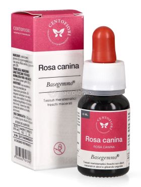 rosa canina basegemmo 734359