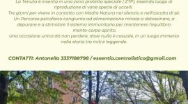 Eventi vicino a te 68 Residenziale