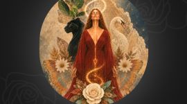 Eventi 38 Dark & Light Feminine