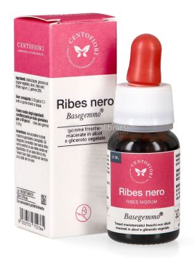 ribes nero basegemmo 734358