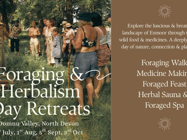 Ritiro giornaliero di foraging ed herbalism