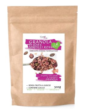 granola raw ai semi mirtilli rossi bio 702780