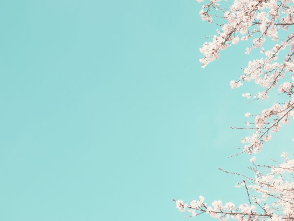 MBCP: Mindfulness-Based Childbirth and Parenting