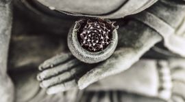 Eventi vicino a te 191 2019 Metta PaoloTesta